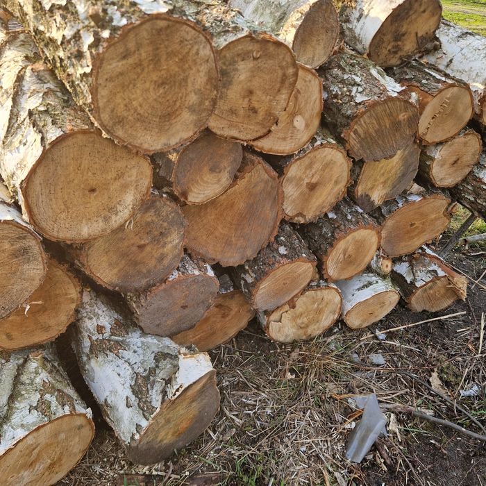 Drewno opałowe Brzoza