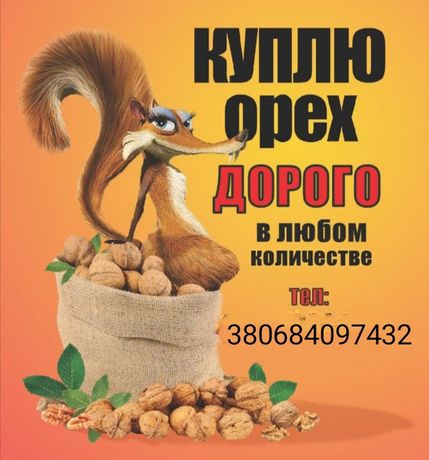 Куплю Дорого Грецкие Орехи до 20 грн