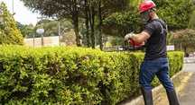 Serviços de jardinagem