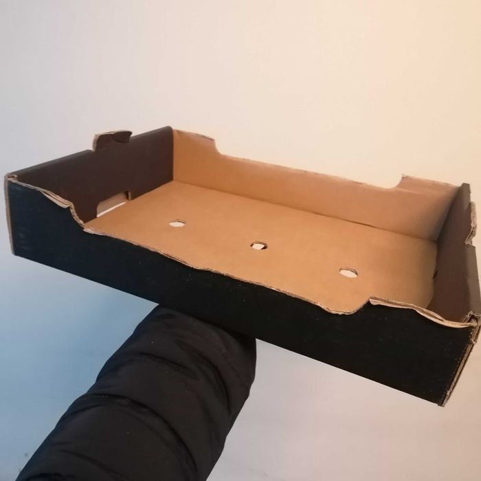 Embalagens para pequenos frutos