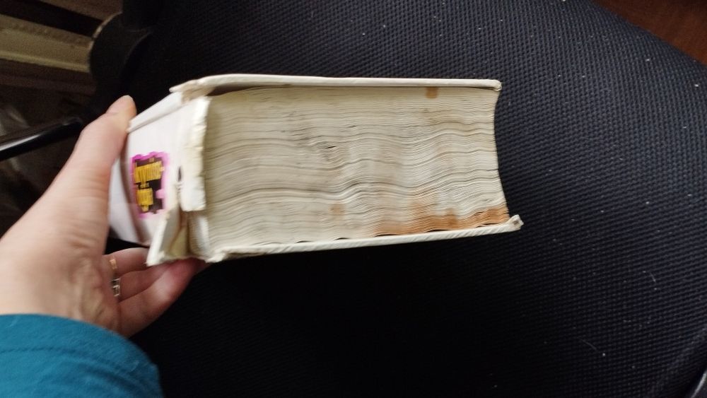 Kryminologia Brunon Hołyst