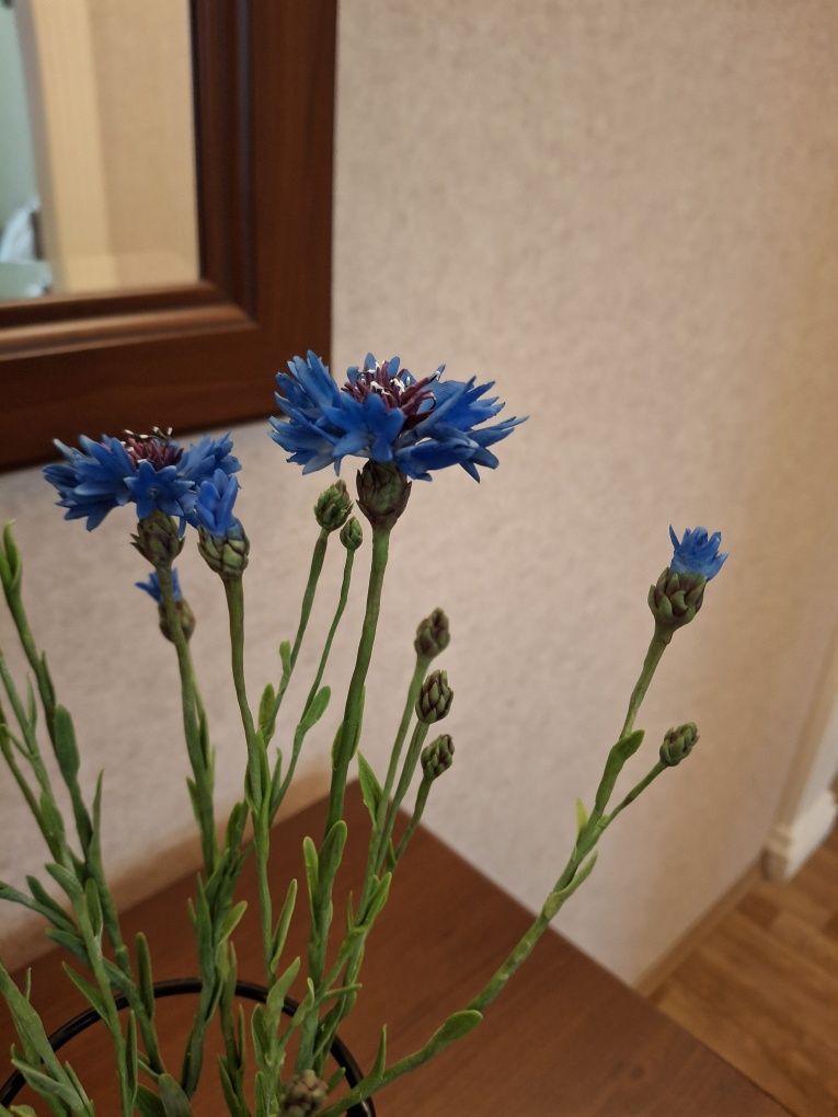 Продаю васильки из полимерной глины, холодный фарфор.