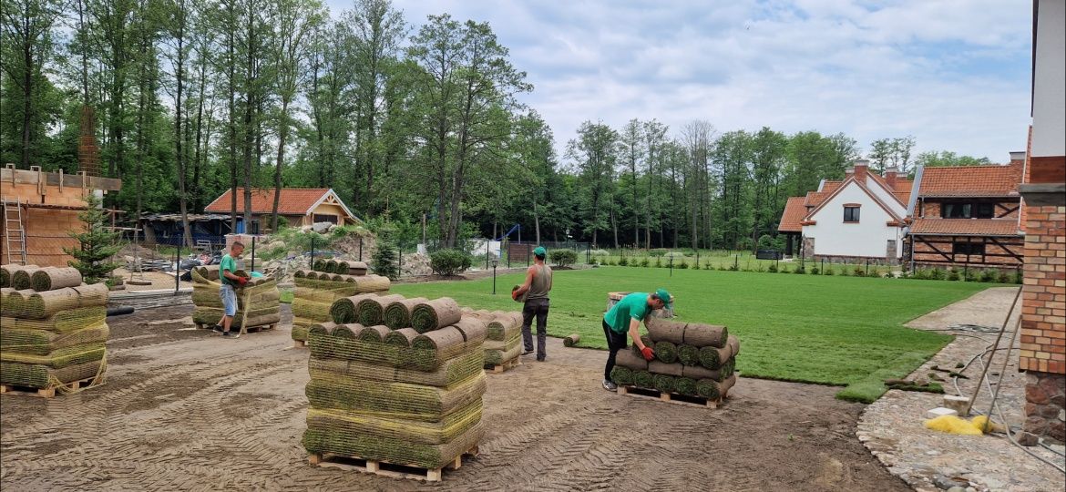 Automatyczne nawadnianie . Trawa z rolki