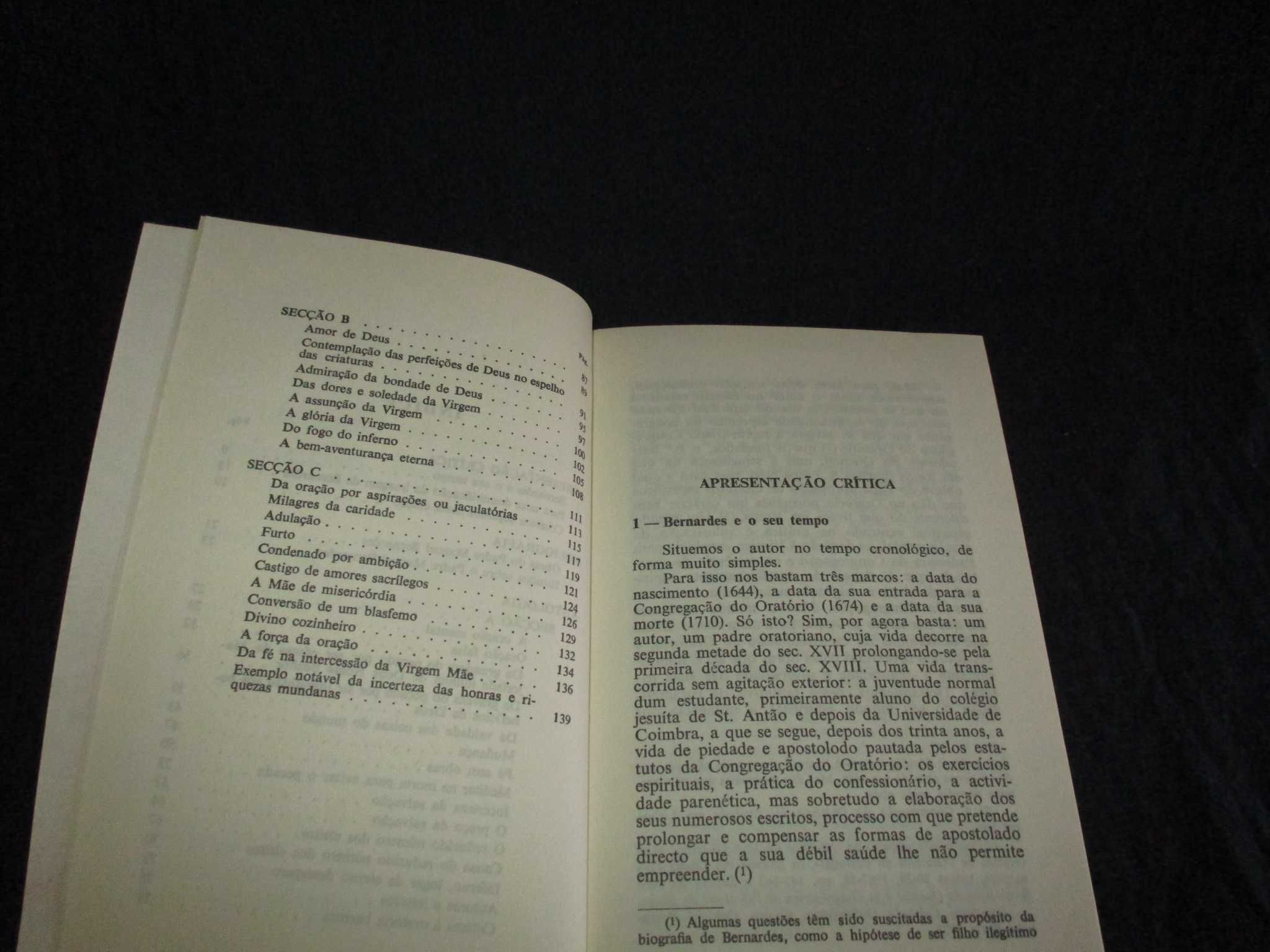 Livro Imagens da Obra do Padre Manuel Bernardes Lucília Pires