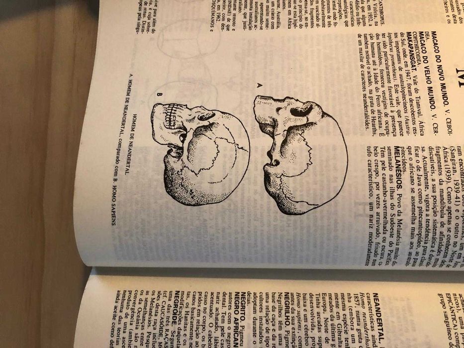 Dicionário Enciclopédia  com ilustrações desenhadas