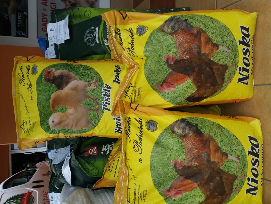 Karma dla kur i kurczaków 10kg. WOŁOMIN