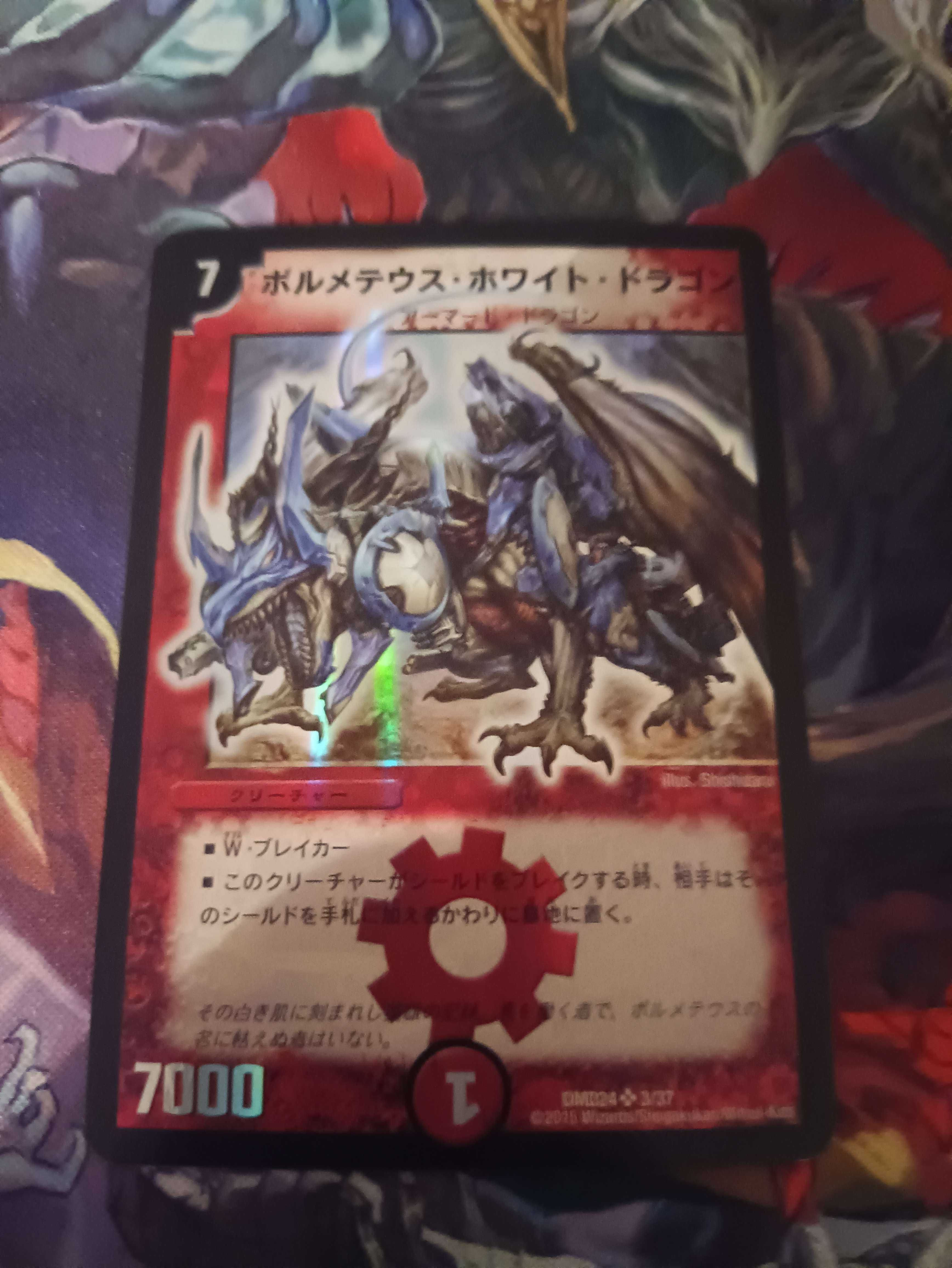 Duel Masters rezerwacja Bolm