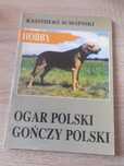 Kazimierz Ściesiński- Ogar polski Gończy polski