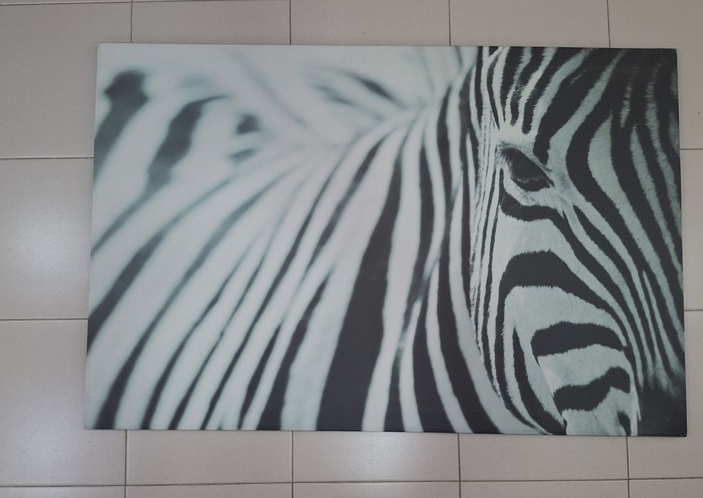 Quadro Zebra Preto e Branco