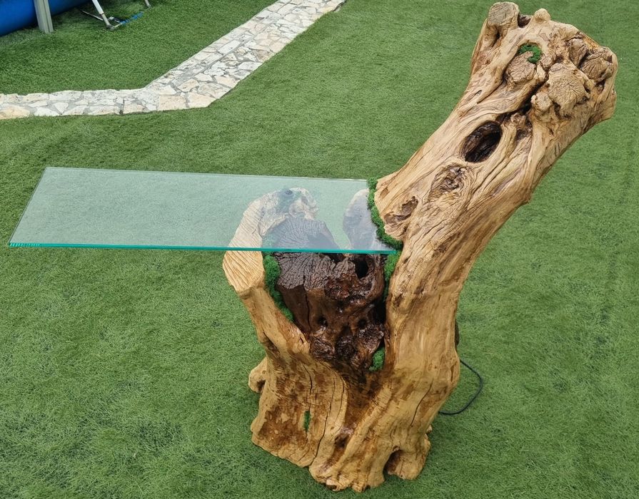 Tronco Oliveira centenária