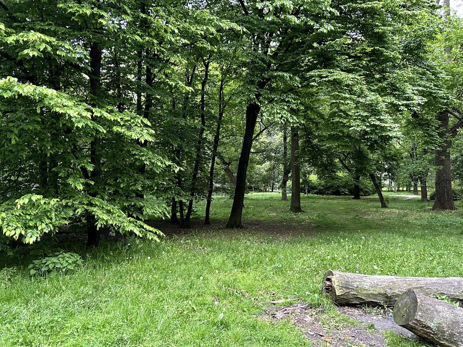 Słoneczna kawalerka w sercu Powiśla ENG:RUS:PL Warszawa Śródmieście