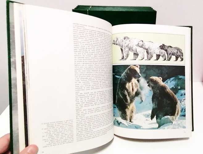 6 Livros - A Aventura da Vida