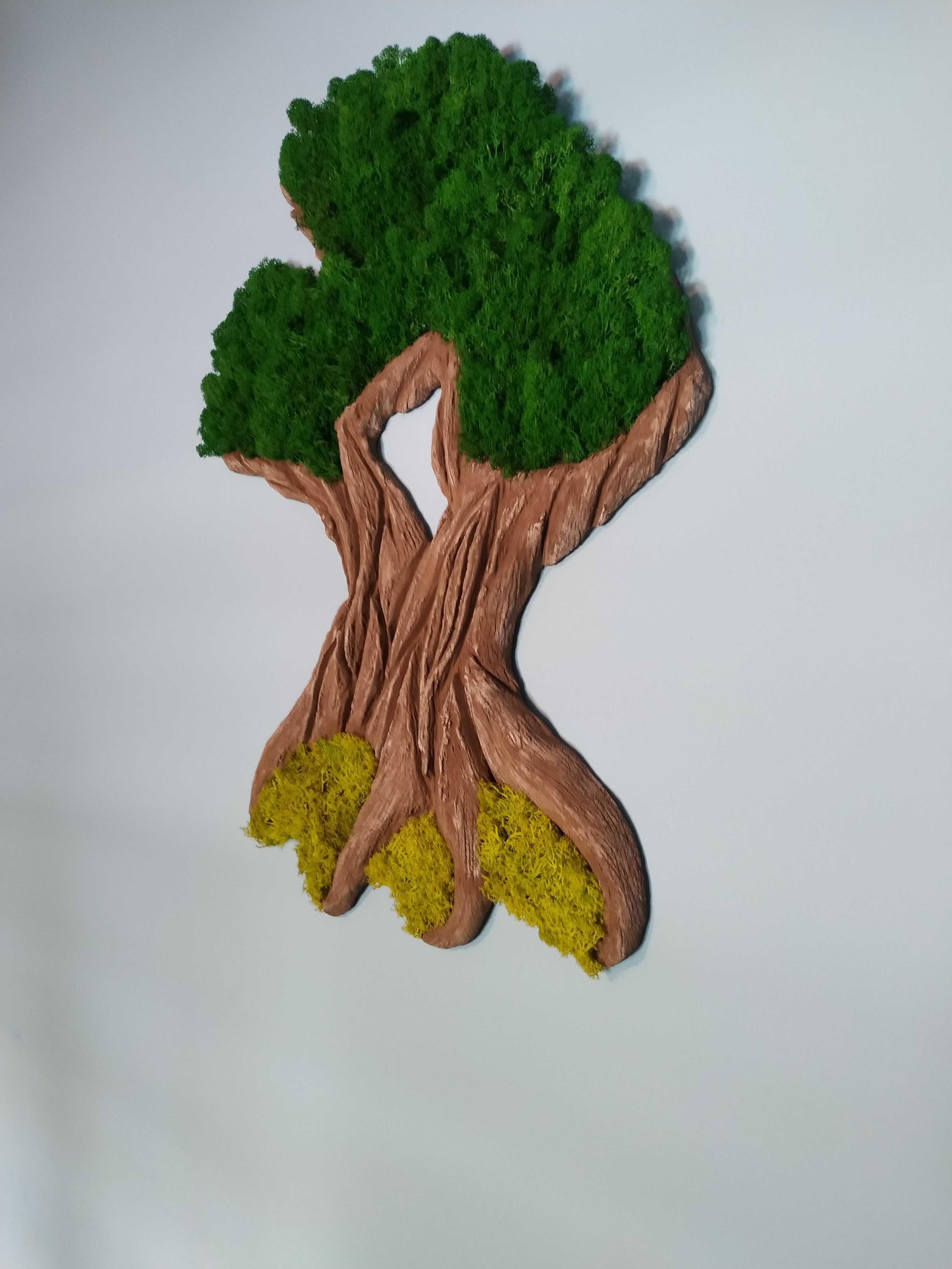 Drzewko bonsai na ścianę