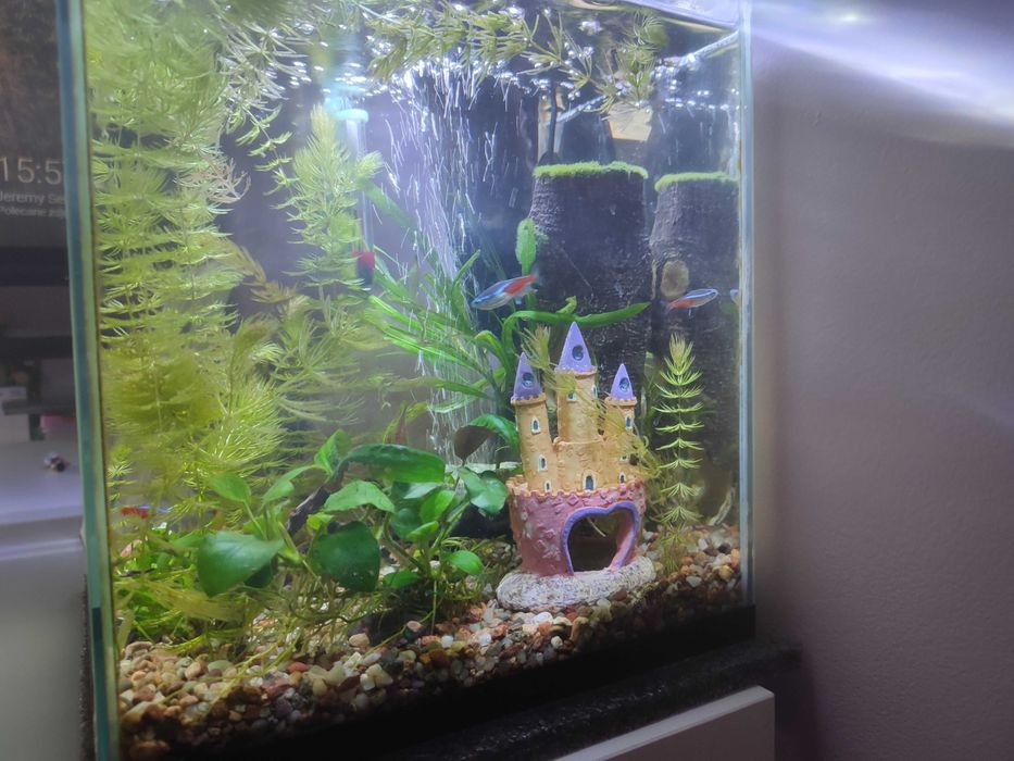 Sprzedam akwarium