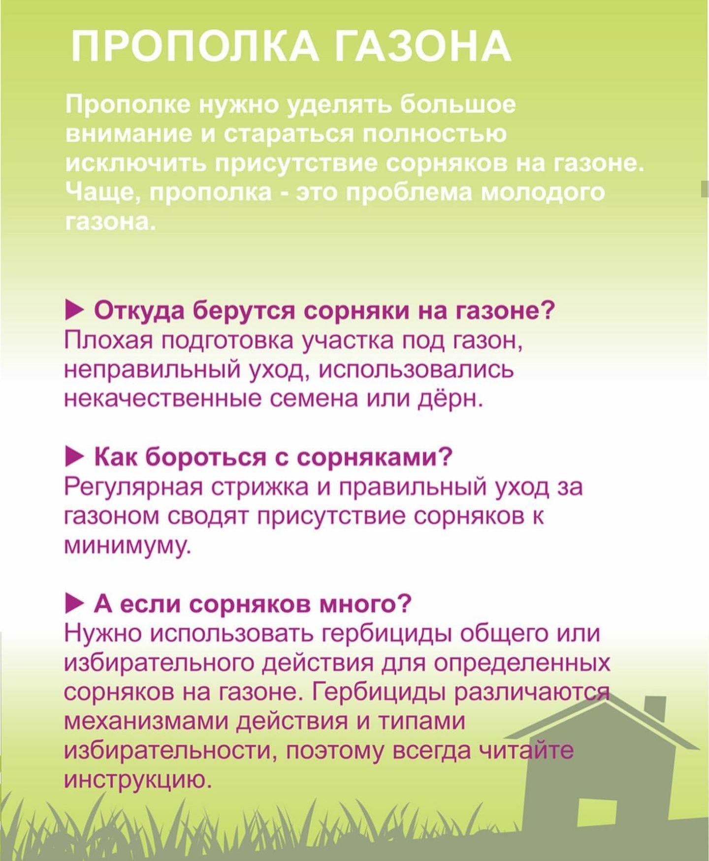 Газонная трава Бесплатно консультация по выбору семян травы для газона