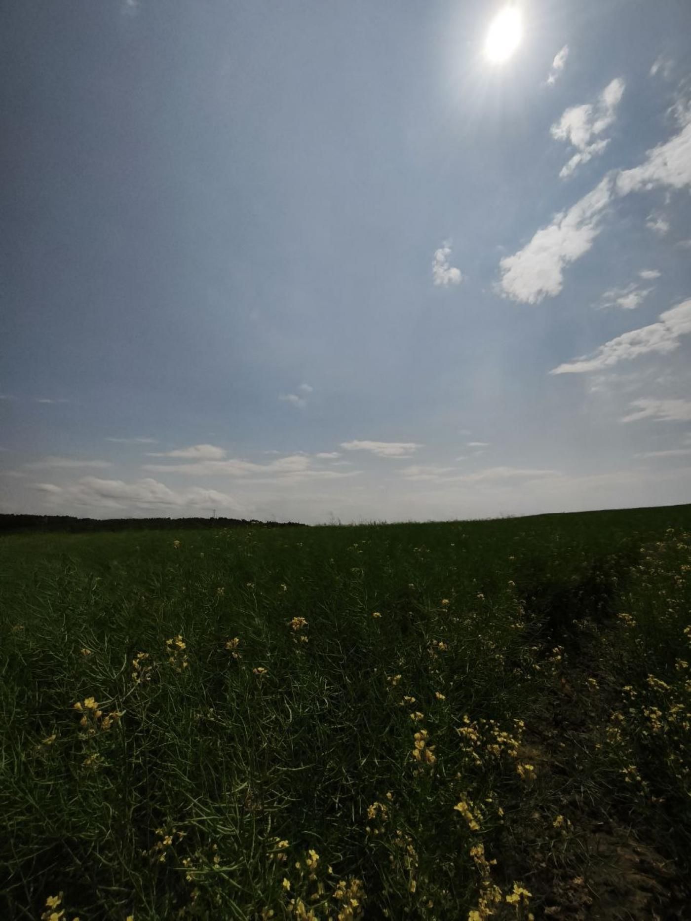Земельна ділянка Солонка Львів 150 соток