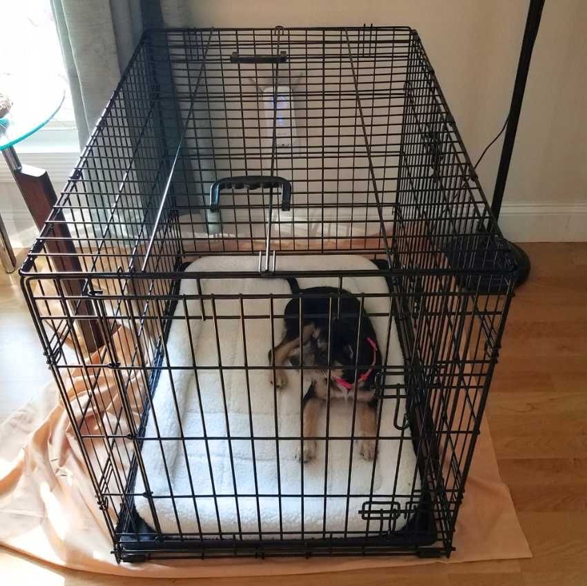 KLATKA DLA PSA metalowa składana 77CM transporter kojec solidny kennel