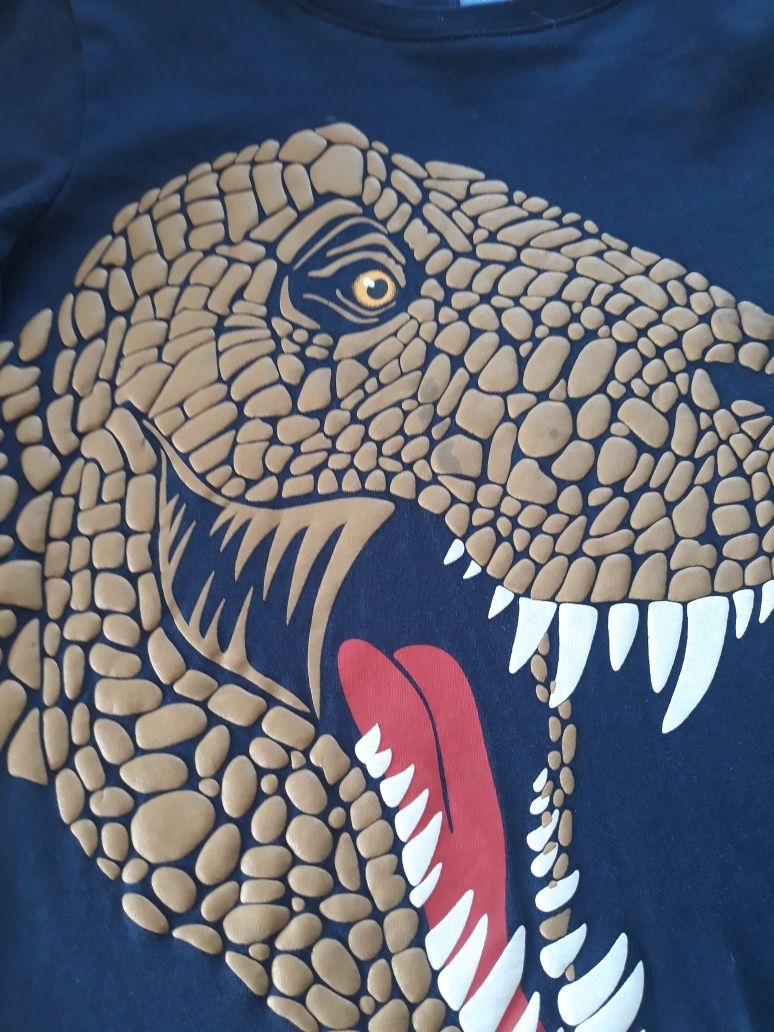 Bluzeczka koszulka dla chłopca dinozaur  122