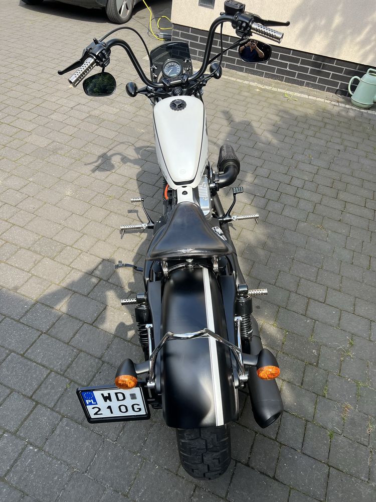 Harley Sportster xl 1200c custom bobber