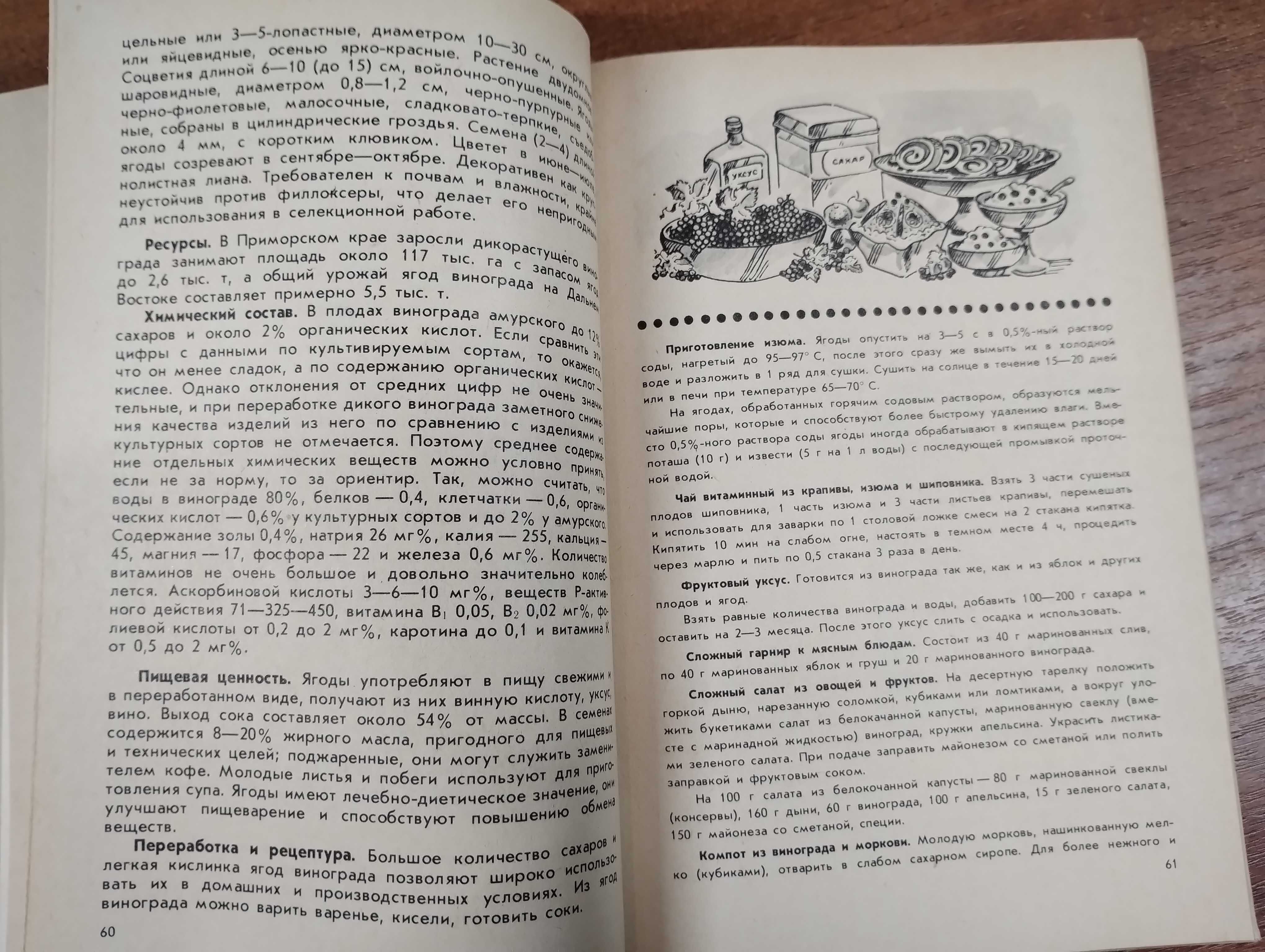 Лесные ягоды Справочник (Кощеев, 1986)