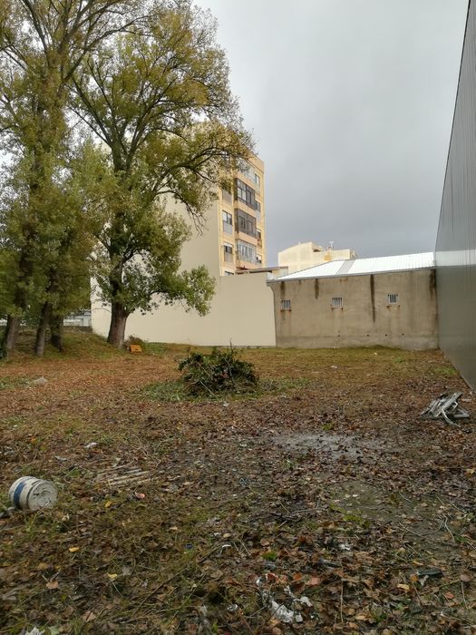 Prestação de Serviços agrícolas/florestais