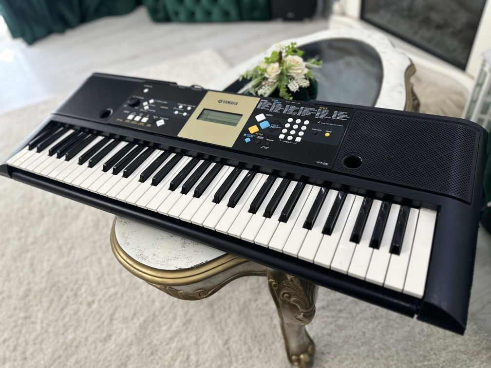 синтезатор Yamana YPT-220