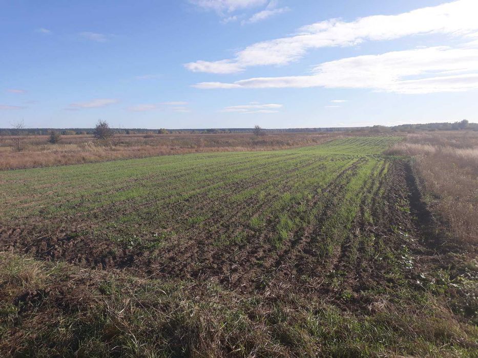 Земельна ділянка. Власник.