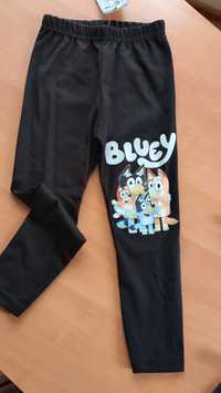 Leggisny Bluey 98 i 116 opis