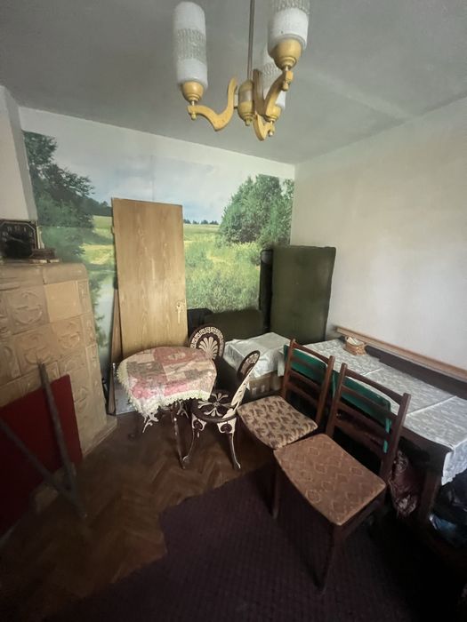 Калинка велика керниця