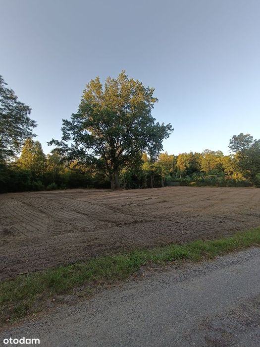 Puszcza Kampinoska. Kępiaste. Działka pod zabudowę siedliskową.