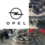 Opel Двигуни 1.6 1.9 2.0 2.2 2.5 дизель | Навісне, Гарантія