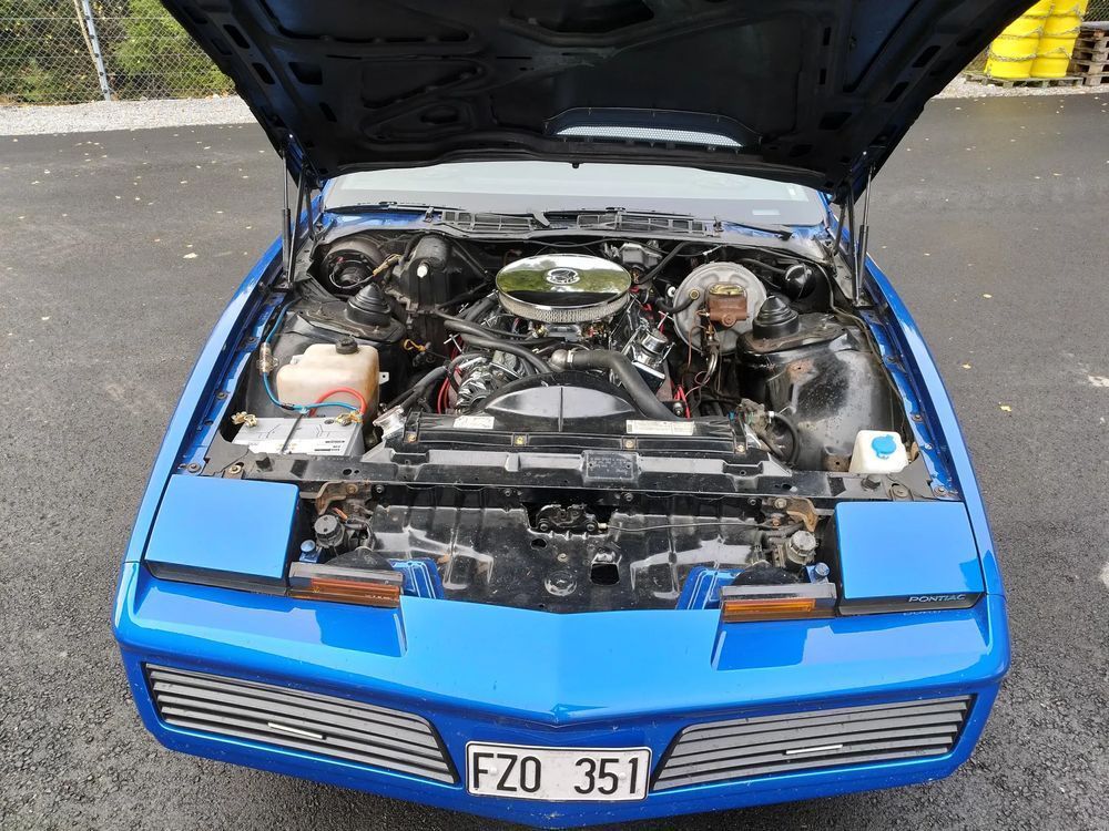 Pontiac Firebird Pontiac TRANS AM 5,0l V8 Targa