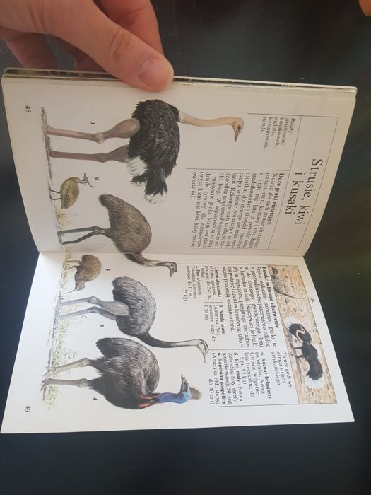 Philippe Dupont Mała Księga Zwierząt