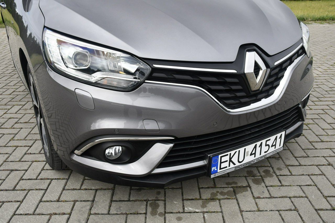 Renault Scenic 1,2Turbo Ledy.Navi.Hak.Kam.Cof.Tempomat.BOSE>Serwis.OKAZJA