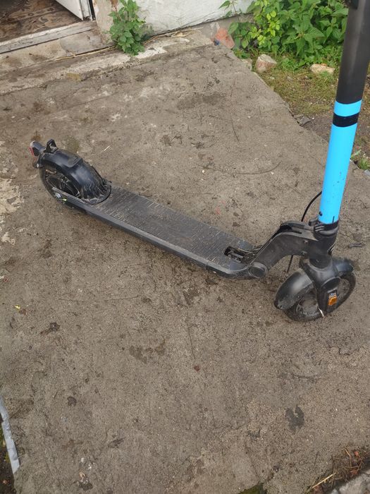 Frugal Alpha stan db