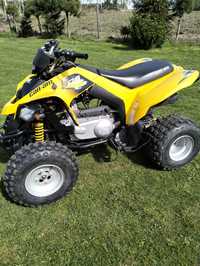 Quad Can AM ds 250