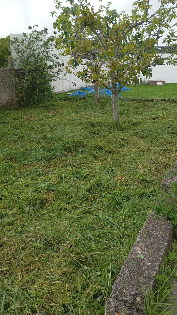 Limpeza de terrenos orçamentos grátis