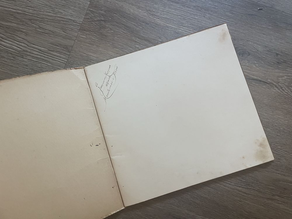 Livro O casamento do Pinóca