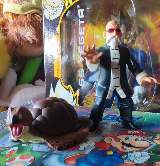 Dragon Ball Master Roshi Irwin