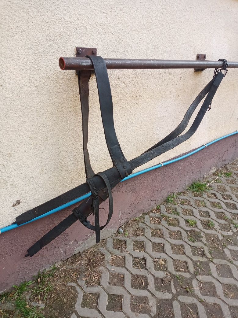 Sprzedam pasy  do konia
