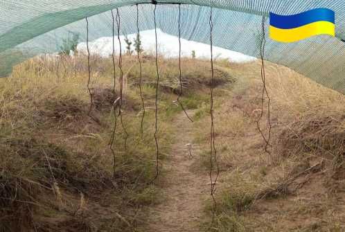 Антидронова штора сітка 6х3м для захисту Паракорд 6мм Зелений