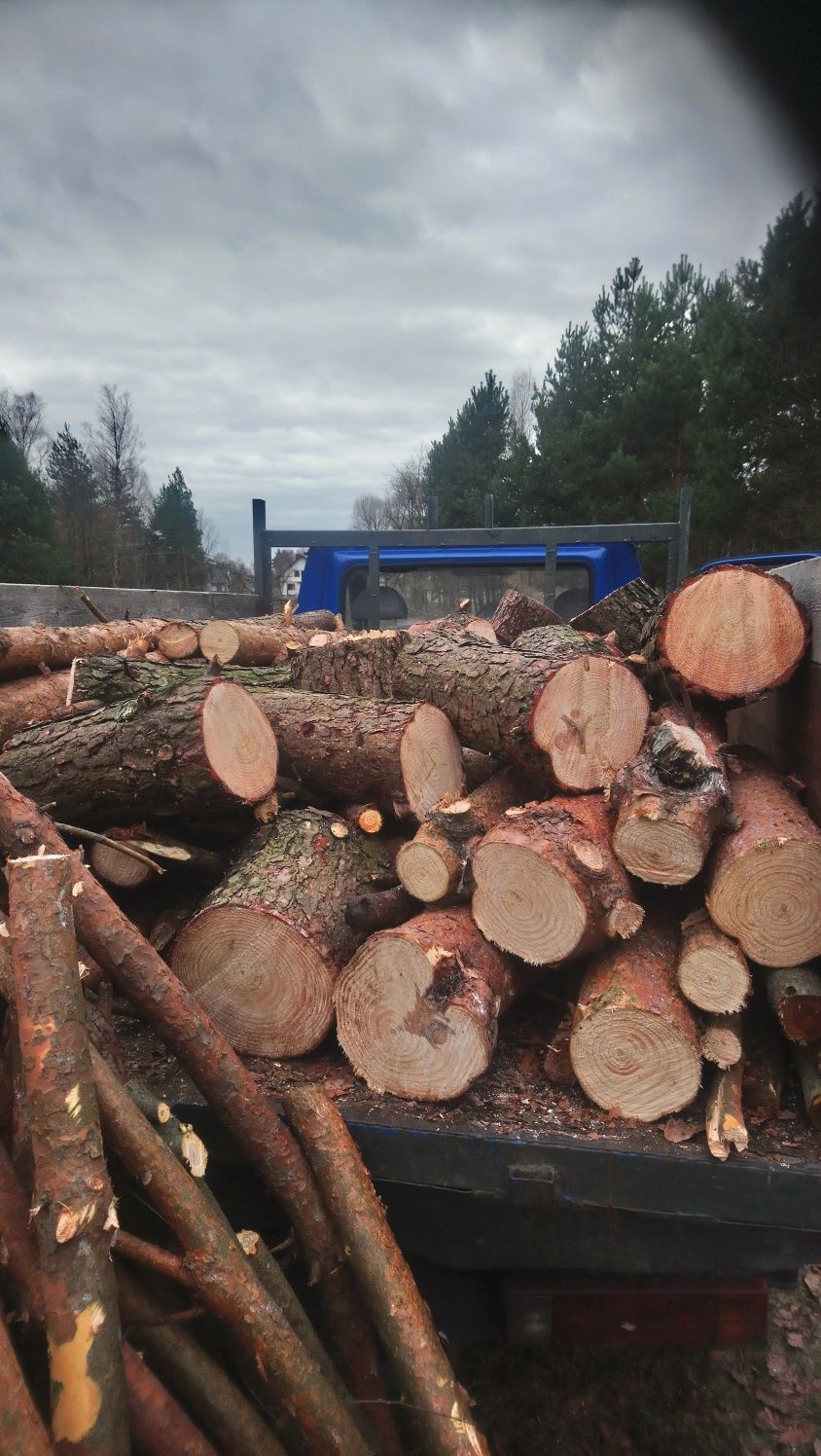Drewno opałowe kominkowe sosna