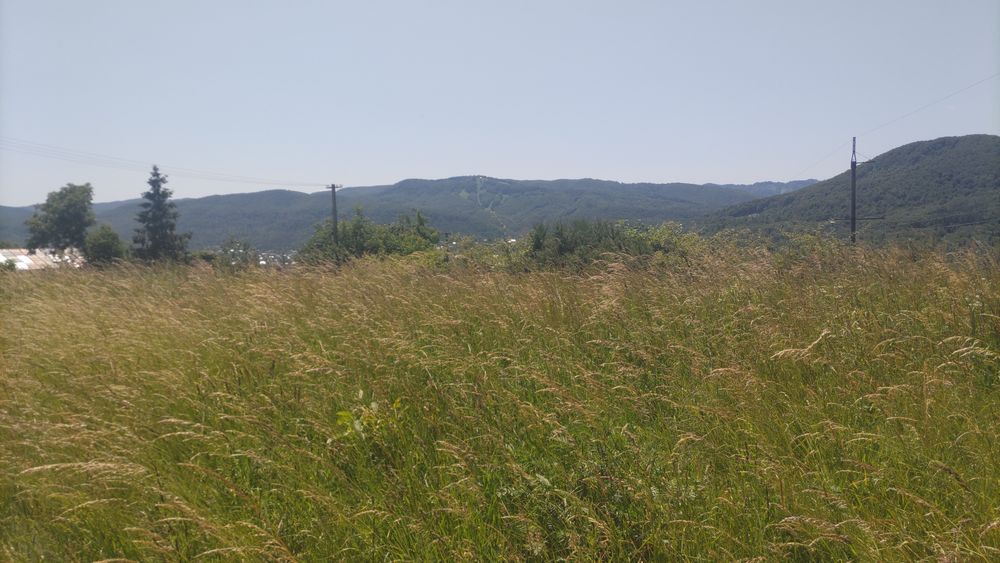 Продам ТОВ з орендованою земельною ділянкою під будівництво СТО