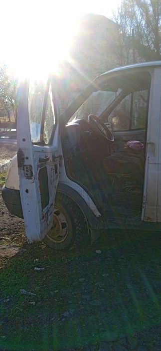 Газель на хаду ...