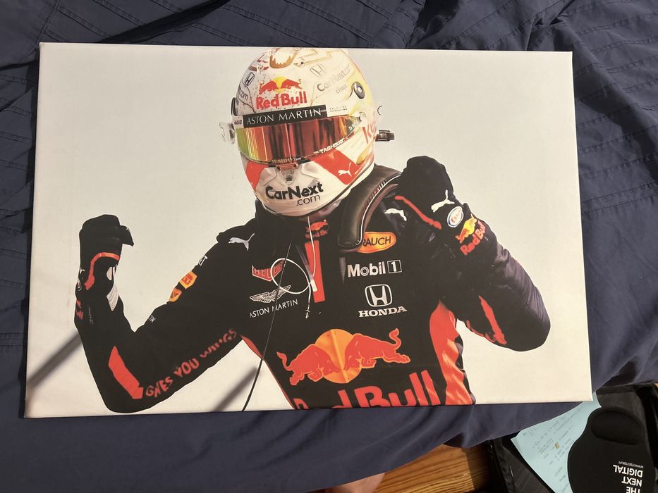 Quadro Canva Max Verstappen