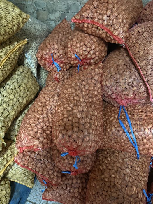 Nozes deste ano e do ano passado