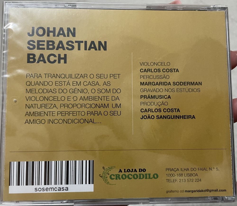 Musicoterapia para animais