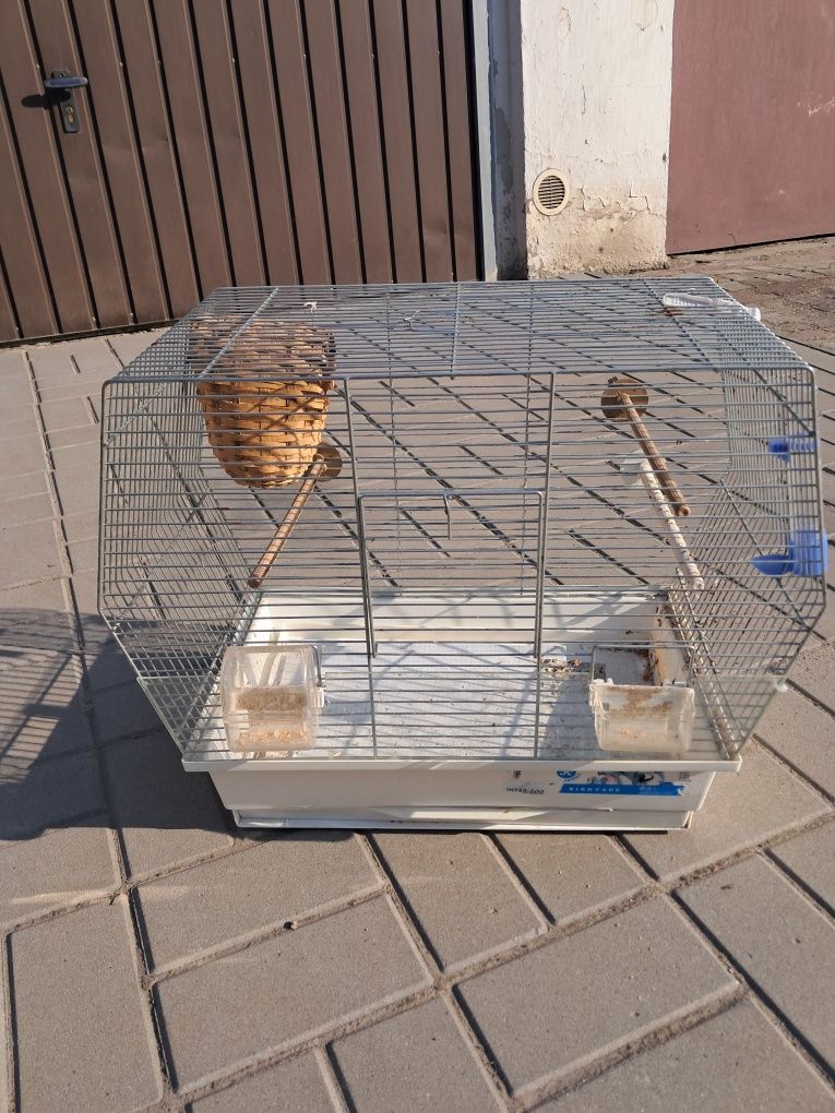 Klatka dla kanarka.