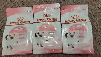 Royal Canin Kitten karma dla kota