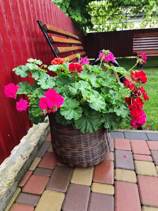 Кашпо  вуличне для квіточок